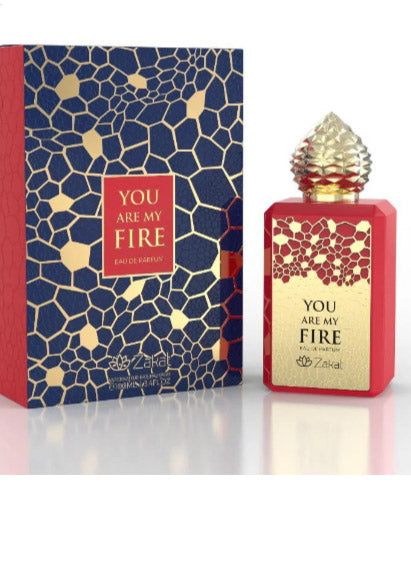 YOU ARE MY FIRE | Zakat