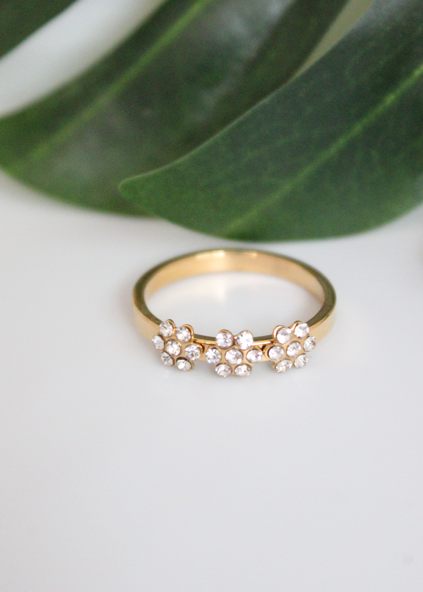 Sortija de Stainless Steel