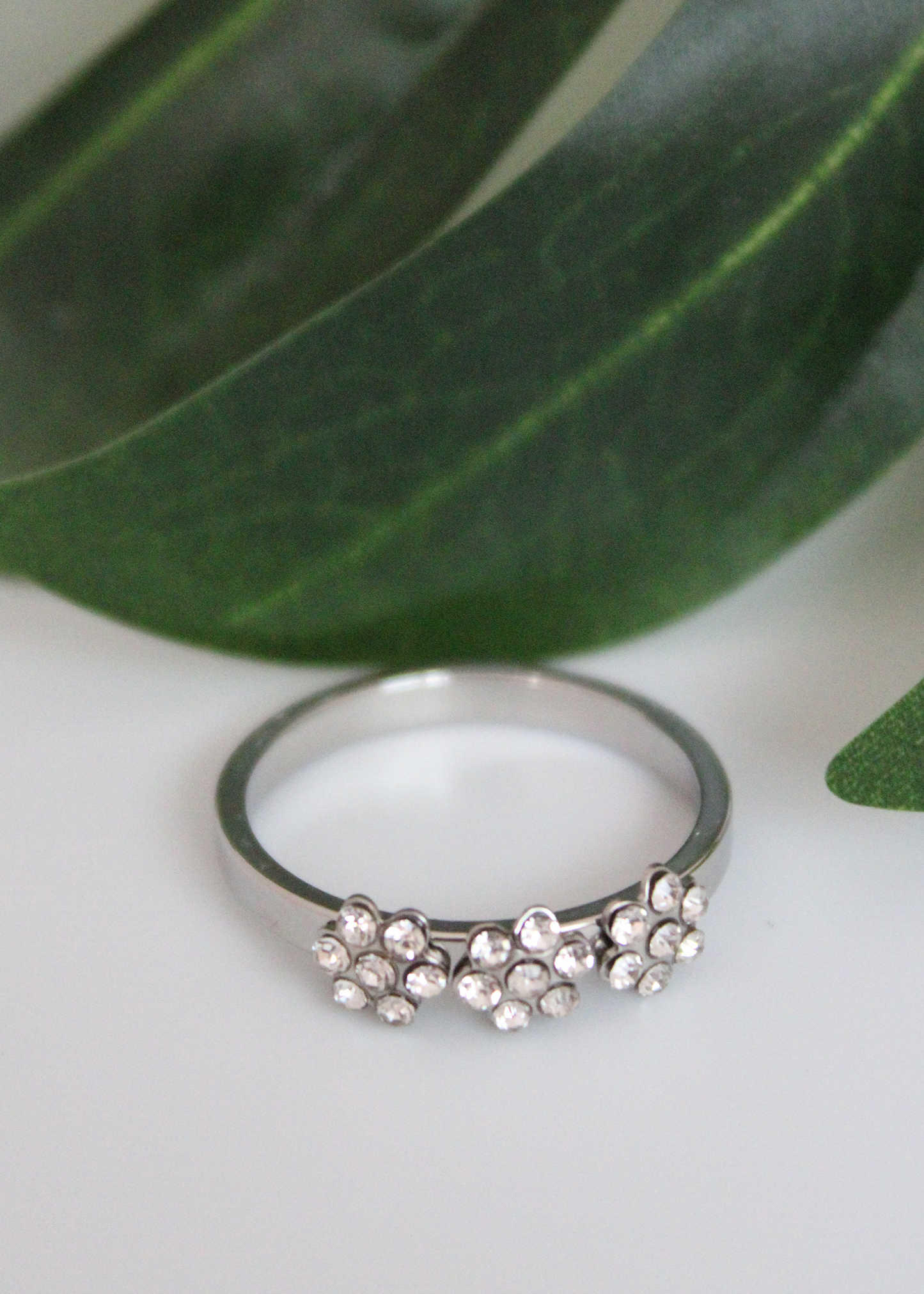 Sortija de Stainless Steel