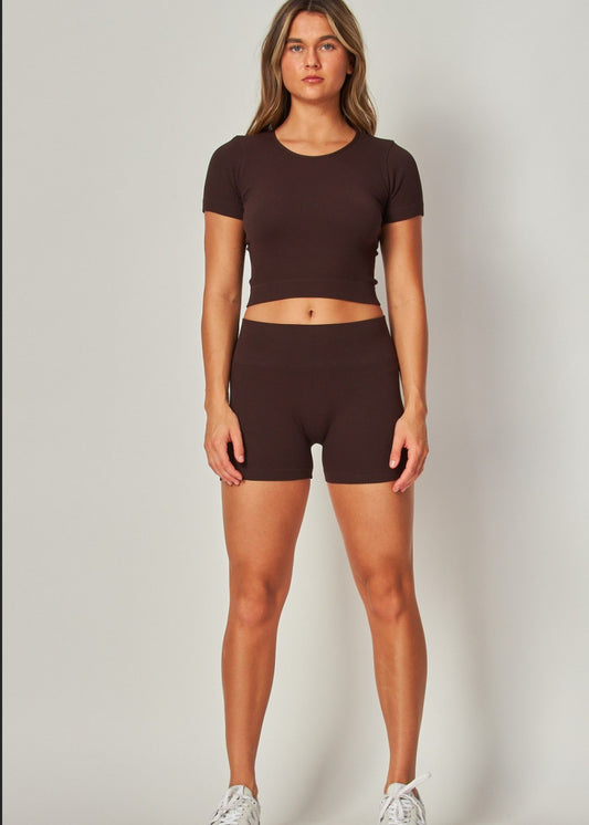 Seamless Ribbed Workout Mini Shorts | Color Expreso