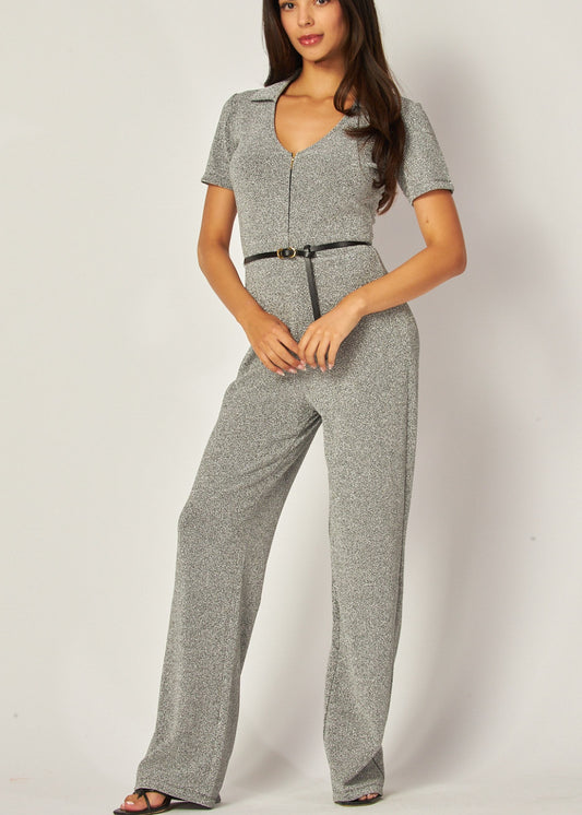 Metallic Simmer Zip-up Collar Belt Flaire Jumpsuit | Color Plata