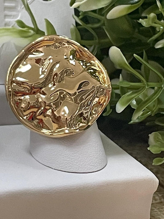 Sortija en forma de circulo