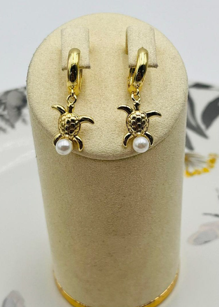 Arete con Cham de Tortuga