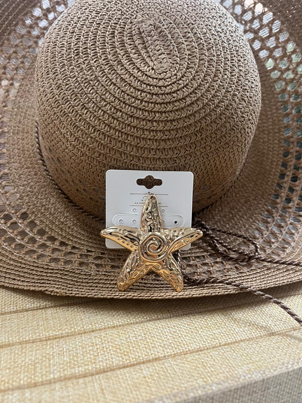 Broches de estrellas