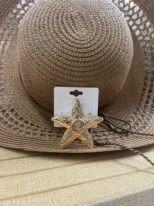 Broches de estrellas